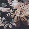 نسکافه ای
